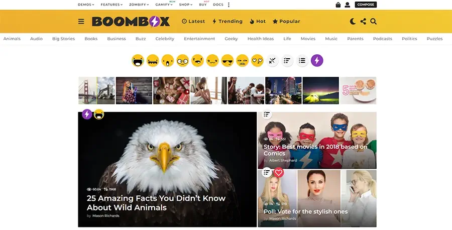 Boombox wp theme